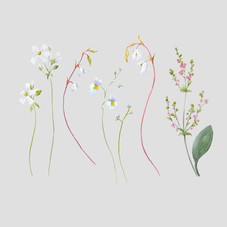 Watercolor tropical flowerのイラスト素材
