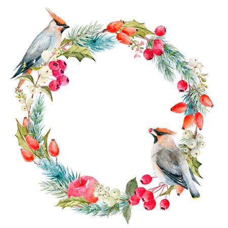 Watercolor winter christmas floral wreathの写真素材