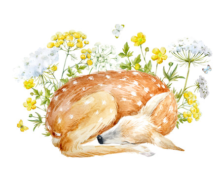 Watercolor floral composition with deerの写真素材
