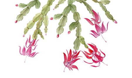 Schlumberger cactus compositionの写真素材