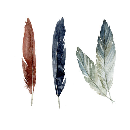 Watercolor feathers setの写真素材
