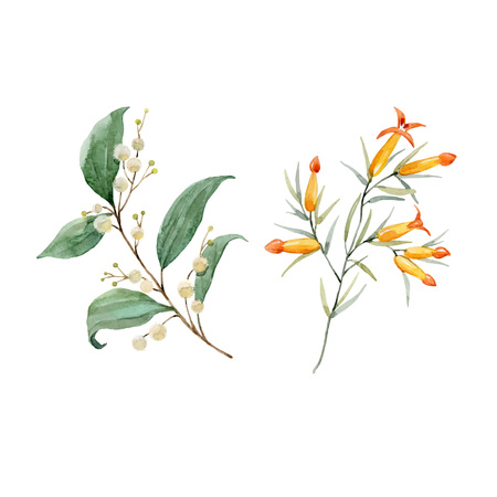 Watercolor floral vector setの写真素材
