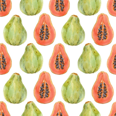 Watercolor papaya patternの写真素材