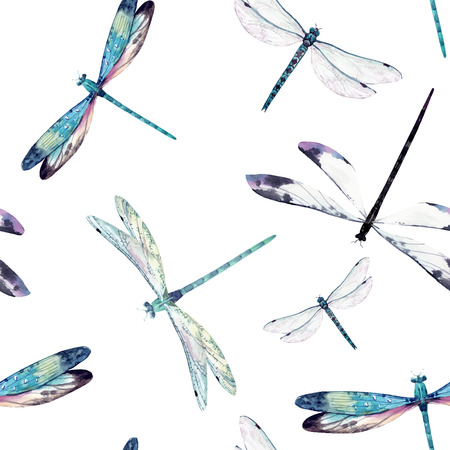 Watercolor dragonfly vector patternのイラスト素材