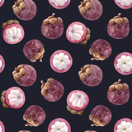 Watercolor mangosteen fruit vector patternのイラスト素材