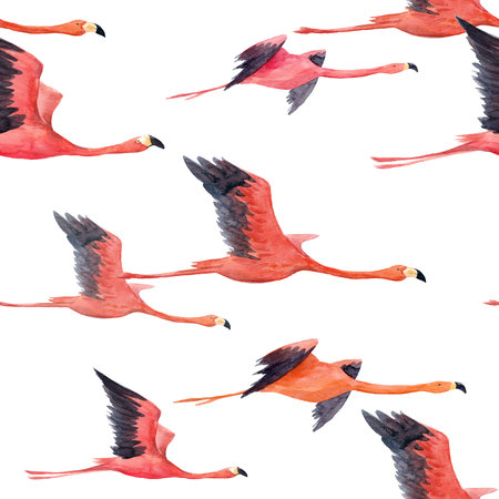 Watercolor flamingo patternの写真素材