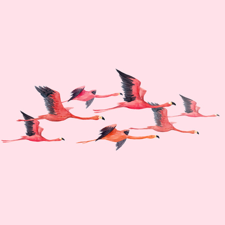 Watercolor flamingo vector illustrationのイラスト素材