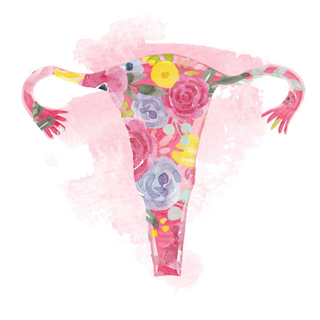 Woman uterus with flowers illustrationの写真素材