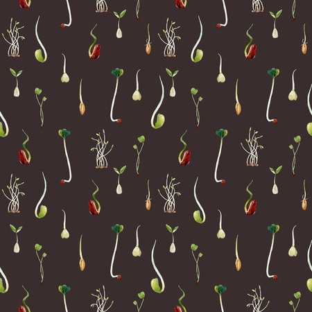 Watercolor beans peas seeds sprouts patternの写真素材