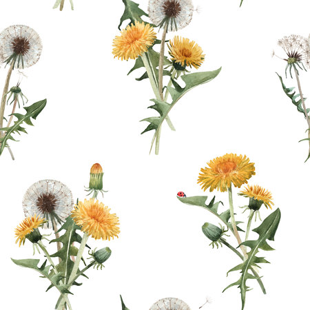 Watercolor dandelion blowball floral seamless patternの写真素材
