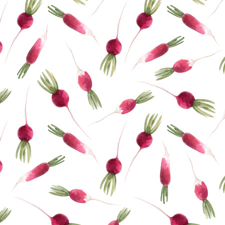Watercolor radish seamless patternの写真素材