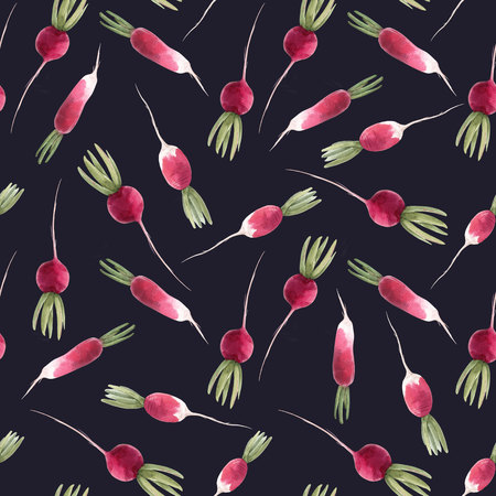 Watercolor radish seamless patternの写真素材