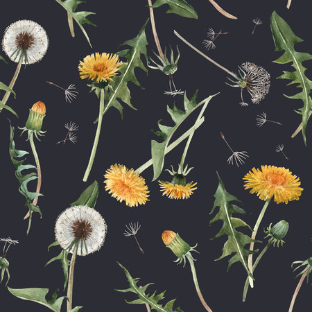 Watercolor dandelion blowball floral seamless patternの写真素材