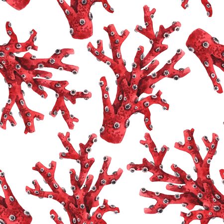 Watercolor sea life coral patternの写真素材