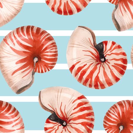 Watercolor sea life nautilus shell patternの写真素材