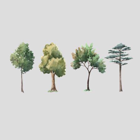 Watercolor vector tree forest oak fir birch, thuja linden baobab pine isolated illustrationsのイラスト素材