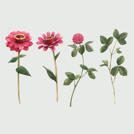 Beautiful vector watercolor floral set with gentle spring flowers.のイラスト素材