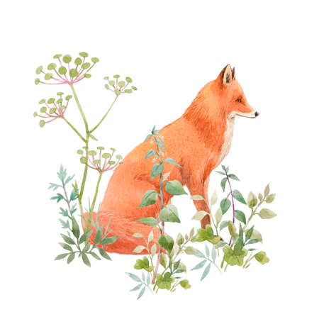 Beautiful floral composition with watercolor cute fox and field flowers. Stock illuistration.の写真素材