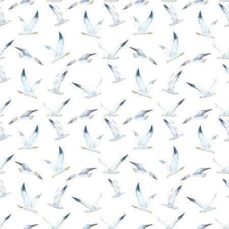 Beautiful seamless pattern with cute watercolor seagulls. Stock illustration.の写真素材