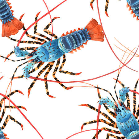 Beautiful seamless sea life pattern with watercolor hand drawn rainbow lobster. Stock illustration.の写真素材