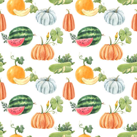 Beautiful seamless pattern with cute watercolor hand drawn melon watermelon and pumpkin vegetables. Stock illustration.の写真素材