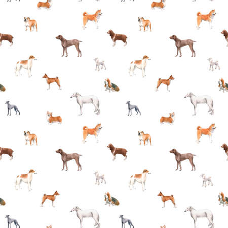 Beautiful seamless pattern with cute watercolor hand drawn dog breeds Cocker spaniel Greyhound Hound Basenji and Russian Greyhound Whippet . Stock illustration.の写真素材