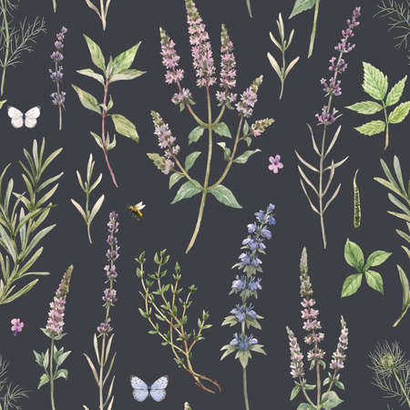 Beautiful floral seamless pattern with hand drawn watercolor spearmint flowers. Stock illustration.の写真素材