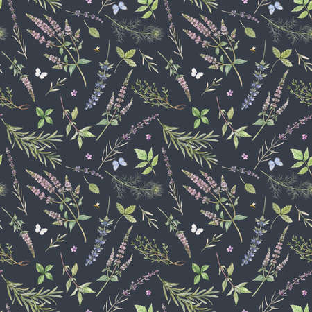 Beautiful seamless floral pattern with hand drawn watercolor gentle mint flowers and other herbs. Stock illuistration.の写真素材