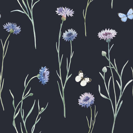 Beautiful seamless floral pattern with hand drawn watercolor gentle wild field flowers cornflower. Stock illuistration.の写真素材