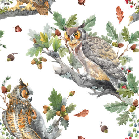 Beautiful seamless autumn forest pattern with watercolor hand drawn owl birds. Stock illustration.の写真素材