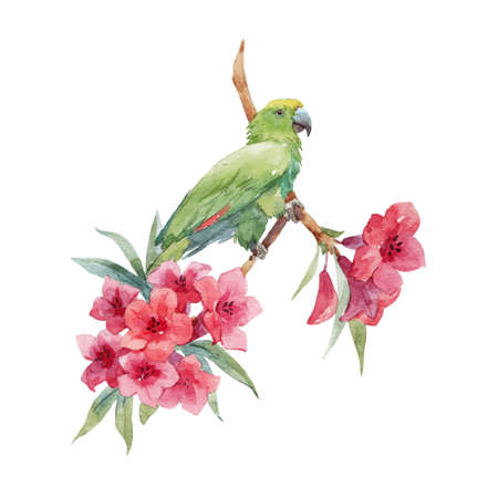 Beautiful tropical floral composition with hand drawn watercolor exotic jungle flowers and parrot....