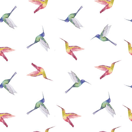 Beautiful seamless pattern cute watercolor hand drawn hummingbirds. Colibri birds. Stock illustration.のイラスト素材