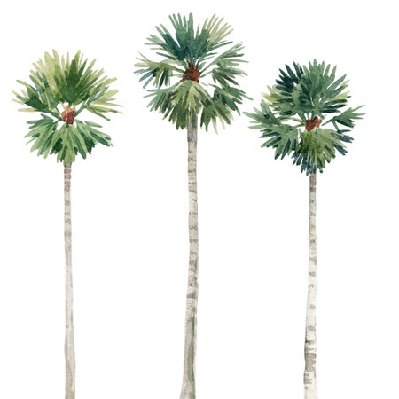 Beautiful stock clip art illustration with watercolor hand drawn tropical palm trees.の写真素材
