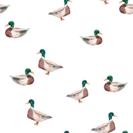 Seamless pattern with watercolor ducks hand drawn mallard birds on white background for kids wallpaper and fabricの写真素材