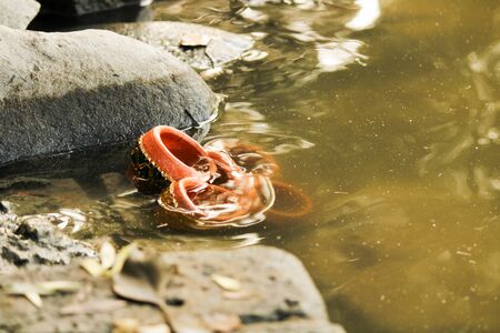 polluting river by floating lamps