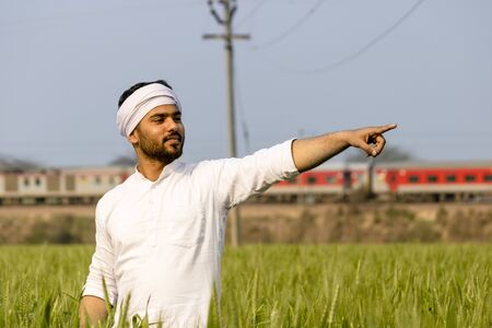 Indian farmer standing in green vegetative stage of wheat crop field and pointing finger at fieldsの写真素材