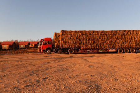 Grass block on the truckのeditorial素材