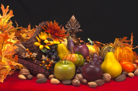 cornucopia with fleur-de-les and assorted fruits gourds and nuts on red and black backgroundの写真素材