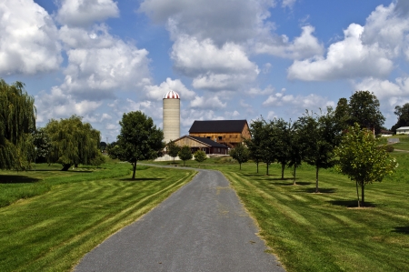 lane leadinng to bank barn on a sunny day