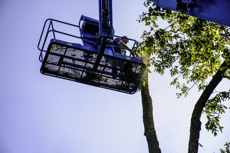 man on aerial lift cutting tree with chainsawの写真素材