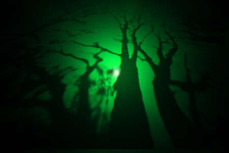 Spooky forest with silhouettes of trees. Halloween party design. Gothic style