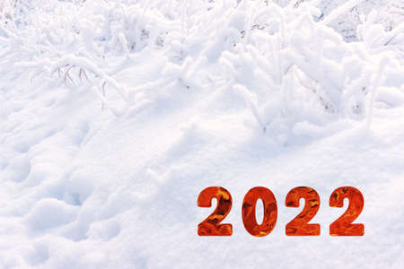 Winter snowy landscape. Lovely winter day. Christmas New Year holiday background with soft flares of...