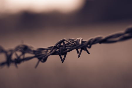 barbed wireの写真素材