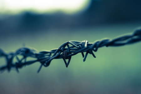 barbed wireの写真素材