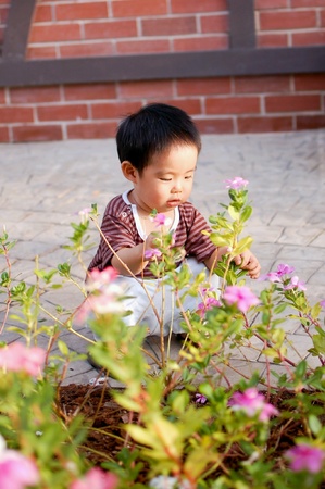 Kid like bright flowerの素材