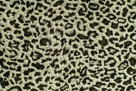Leopard leather pattern texture closeup background.