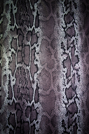 texture of print fabric stripes snake for background