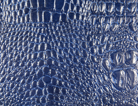 crocodile leather texture closeup backgroundの写真素材