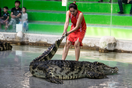 Chon Buri THAILAND  January 1 2015: crocodile show at crocodile farm. This exciting show is very famous among among tourist and Thai peopleのeditorial素材