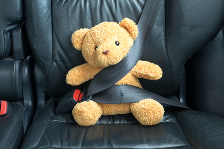 Teddy bear fastened in the back seat of a carの写真素材